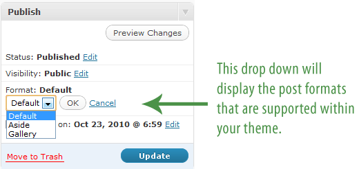 Post Format Option in Post Write Panel