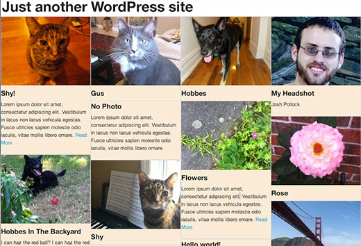 Screenshot of Masonry Grid Layout in WordPress