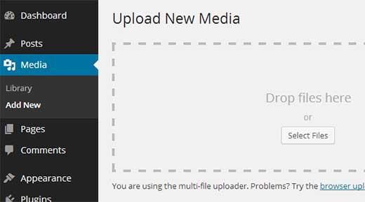 Upload social media icons to WordPress Media Library