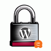 WordPress Security