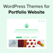 Best Portfolio WordPress Themes