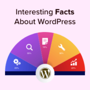 Interesting facts about WordPress