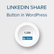 How to Add Official LinkedIn Share Button in WordPress