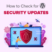 How to check for WordPress security updates