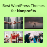 Best WordPress Themes For Nonprofit Organizations