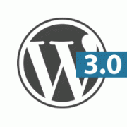 WordPress 3.0