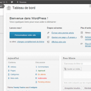 WordPress in French