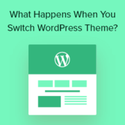 What Happens When You Switch Your WordPress Theme?