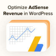 Optimize your AdSense Revenue in WordPress