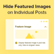 How to Hide Featured Images on Individual Posts in WordPress