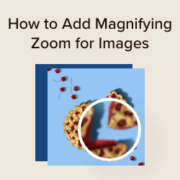 How to add magnifying zoom for images in WordPress