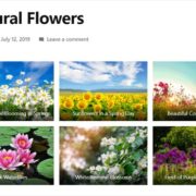 WordPress Photo Gallery Example