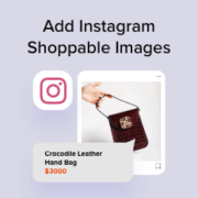 How to add Instagram shoppable images in WordPress