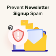 How to pevent newsletter signup spam in WordPress