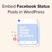 How to embed Facebook status posts in WordPress