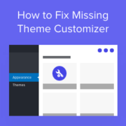 How to fix missing theme customizer in WordPress admin