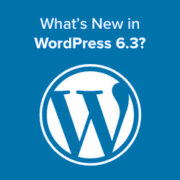 What's New in WordPress 6.3