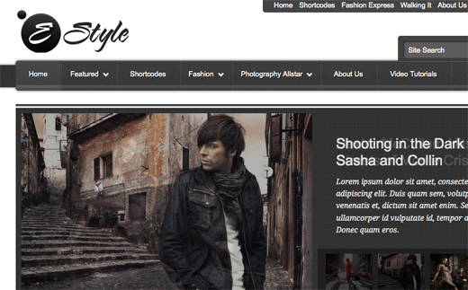 Estyle Theme