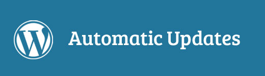 Automatic WordPress Updates