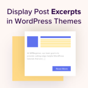 How to display post excerpts in WordPress themes