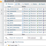 Managing WordPress database using phpMyAdmin