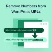 How to remove numbers from WordPress URLs