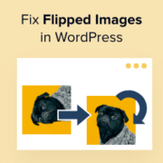 How to fix upside down or flipped images in WordPress