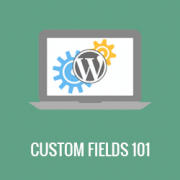 How to Display Custom Fields Outside The Loop in WordPress