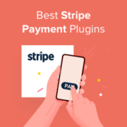 Best Stripe Payment Plugins for WordPress