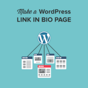 How to Make a Link in Bio Page in WordPress (Linktree Alternative)