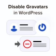 Disable Gravatars in WordPress