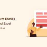 Export WordPress form entries to CSV and Excel