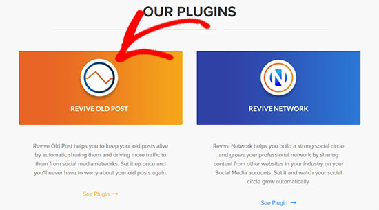 Revive Old Post plugin