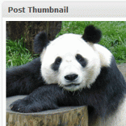 Post Thumbnail in WordPress