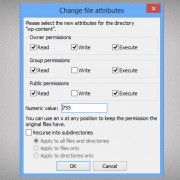 Setting file permissions in an FTP client