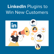 LinkedIn WordPress plugins