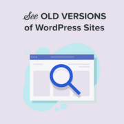 How to See Old Versions of Any WordPress Site (3 Tools)