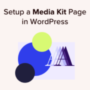 How to Setup a Media Kit Page in WordPress