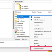 FTP file permissions