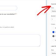 The field styles section in WPForms block settings