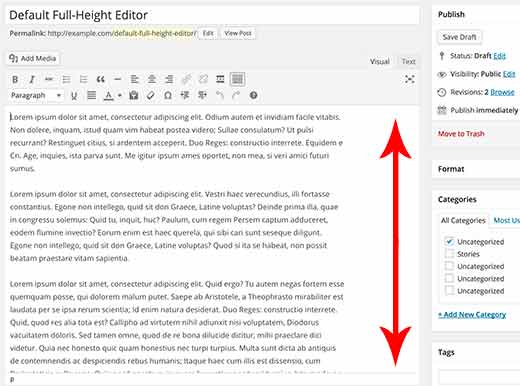 Default full height editor in WordPress