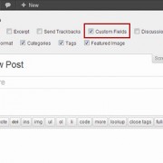 Enabling custom fields meta box in WordPress Post Edit screen