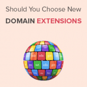 Should You Choose New Domain Extensions for Your Website?