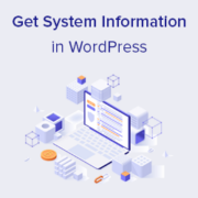 How to Quickly Get System Information for Your WordPress Site