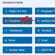 The Dropdown option in WPForm's Fields panel
