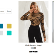 Screenshot of the Free Version of YITH WooCommerce Ajax Product Filter