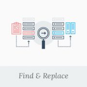 Find and replace text with one click in your WordPress database