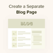 How to Create a Separate Page for Blog Posts in WordPress