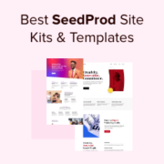 Best SeedProd Templates and Site Kits