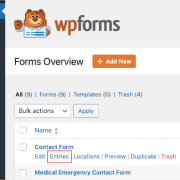 Entries button in WPForms